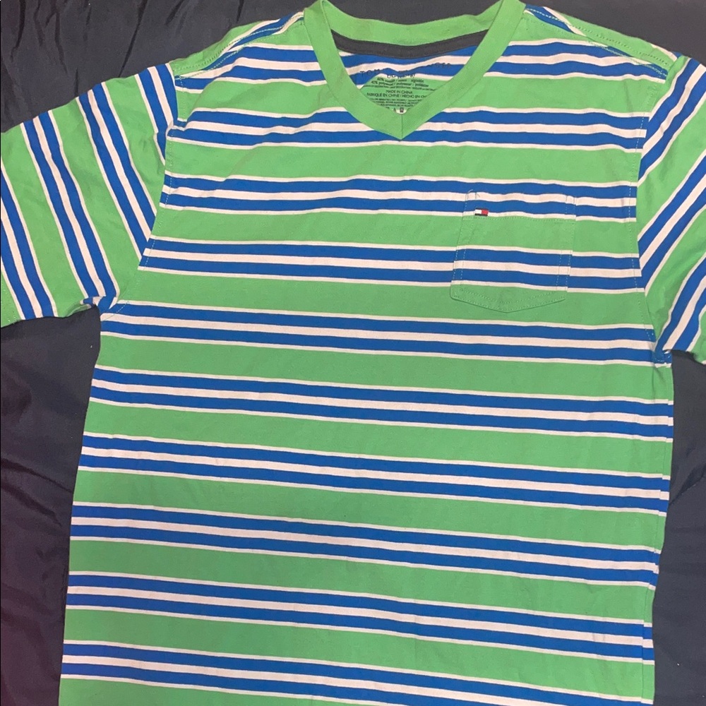 Tommy Hilfiger Green and Blue Striped Tee